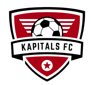 Testing an article submission